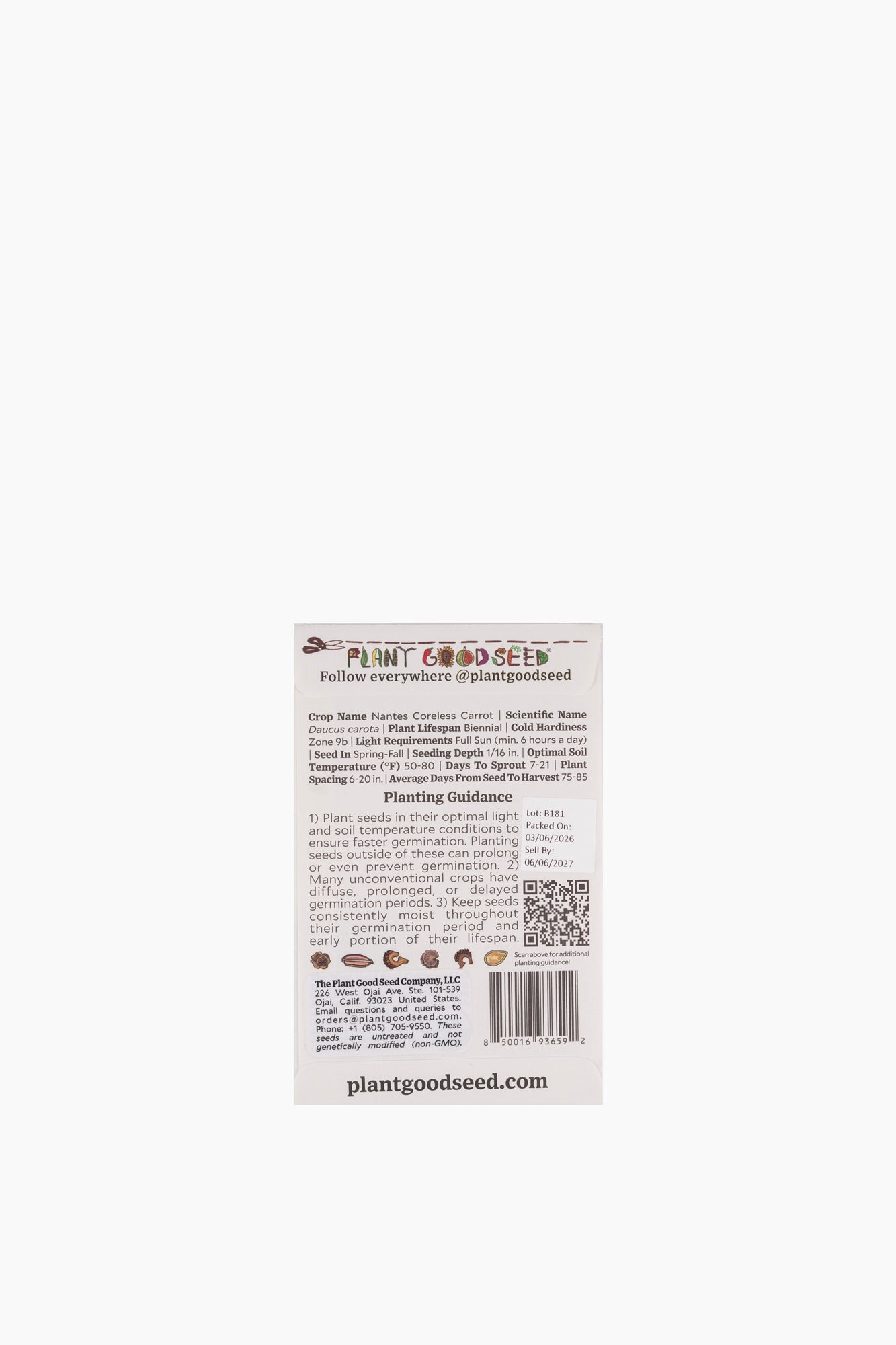 Assorted Vegetable Seeds