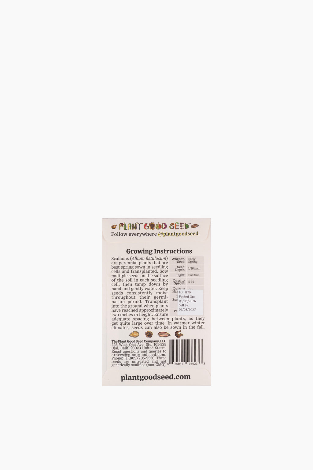 Assorted Vegetable Seeds
