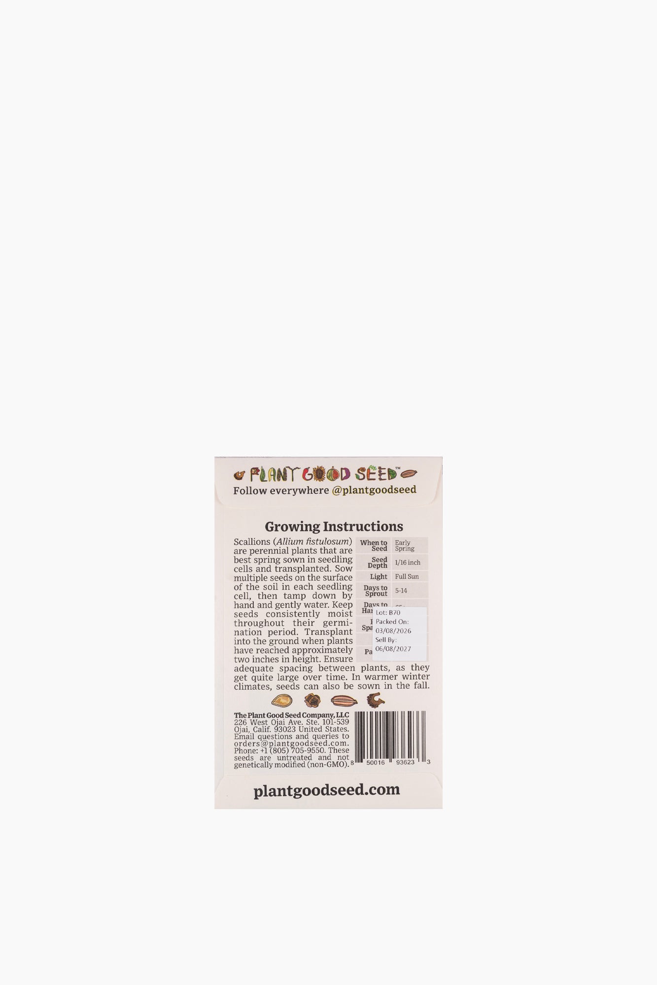 Assorted Vegetable Seeds