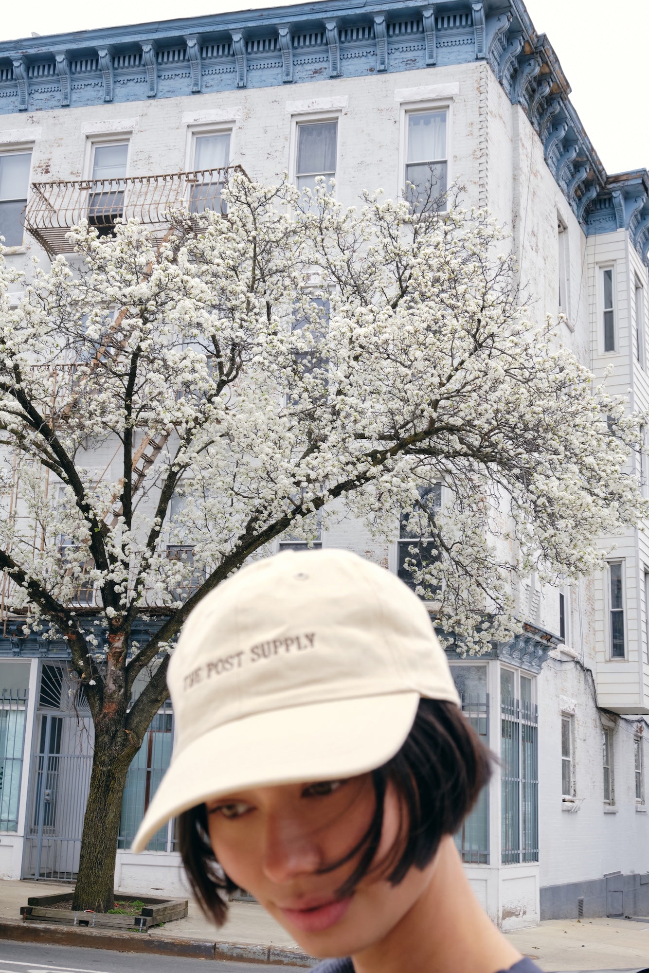 The Post Supply Dad Cap