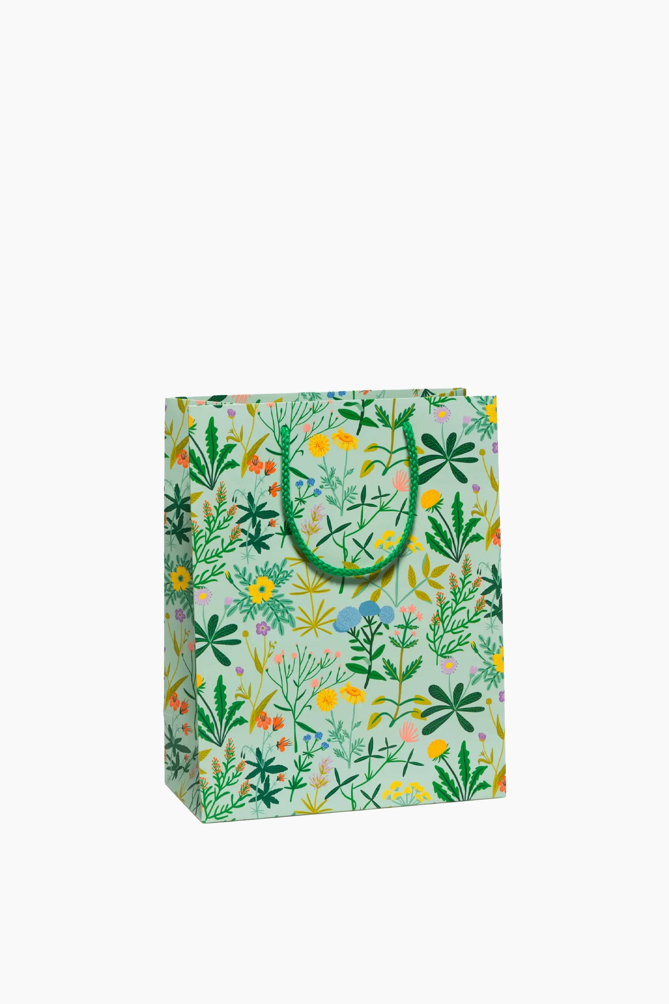 Gift Bags | Large