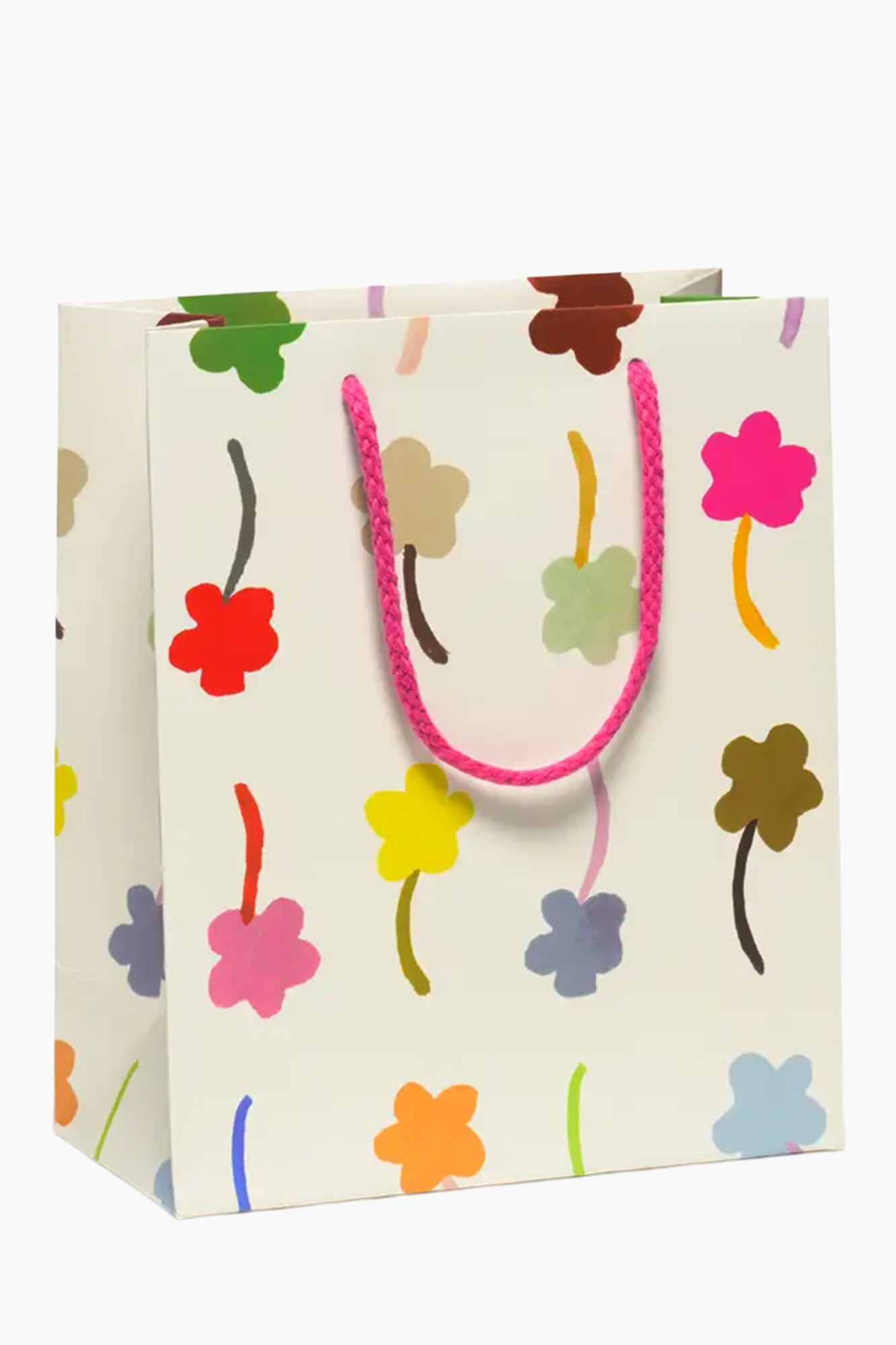 Gift Bags | Medium