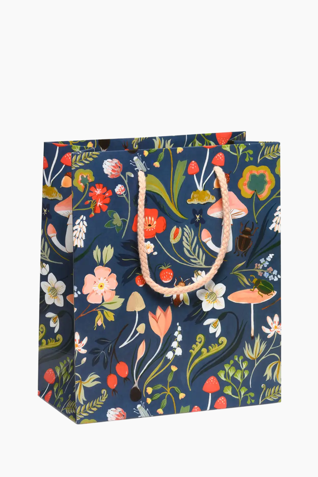 Gift Bags | Medium