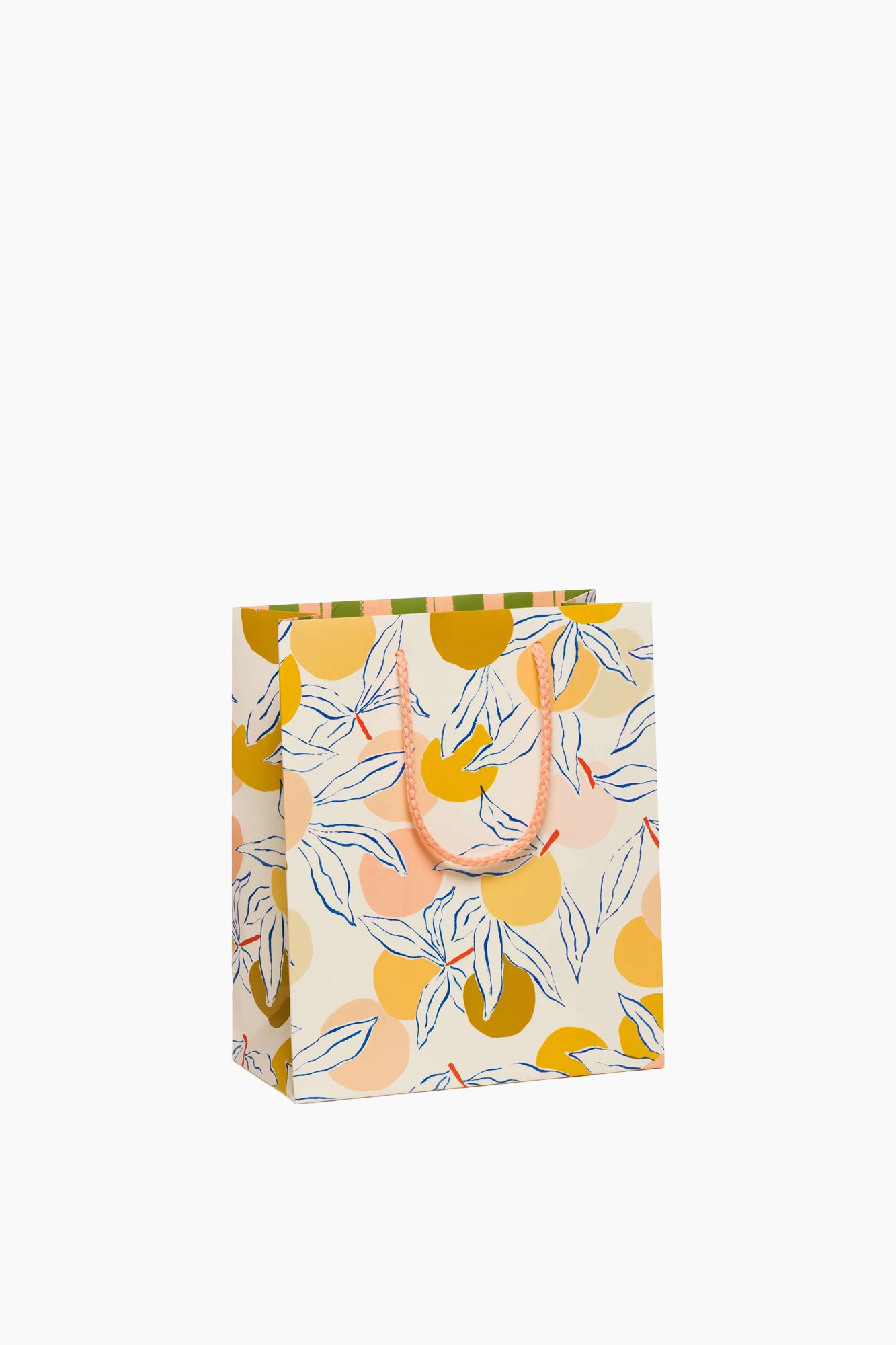 Gift Bags | Medium