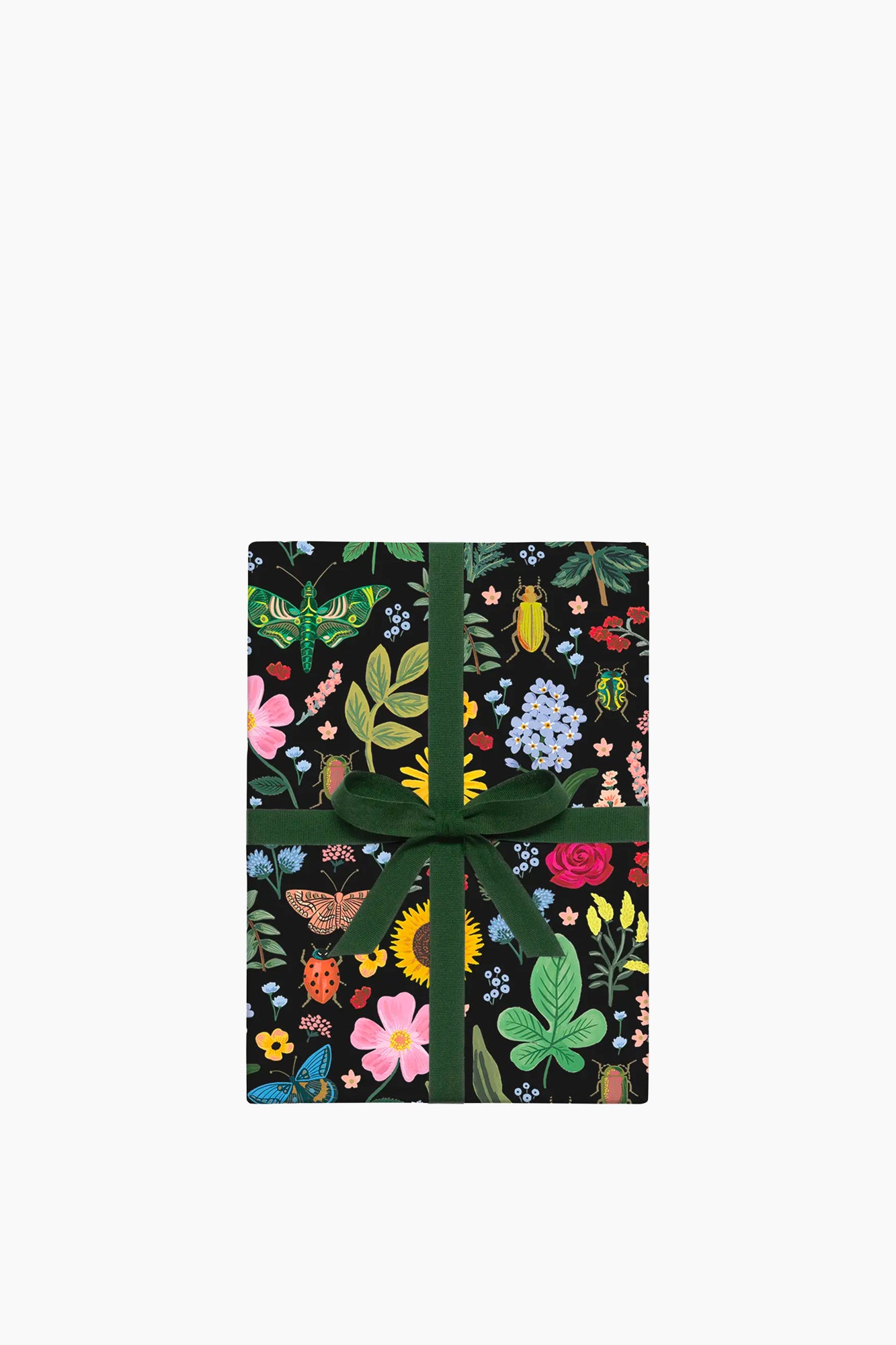 Curio Wrapping Paper | Sheets