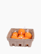 Kumquat Candles| 8 Pack | Scented