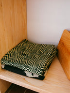 Arches Tablecloth