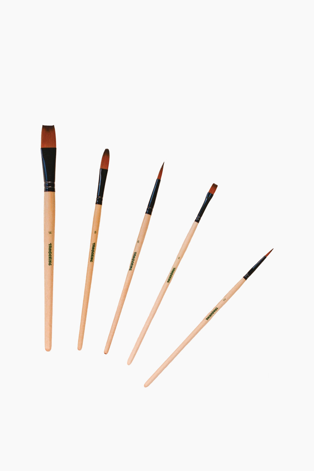 Paint Brush Set
