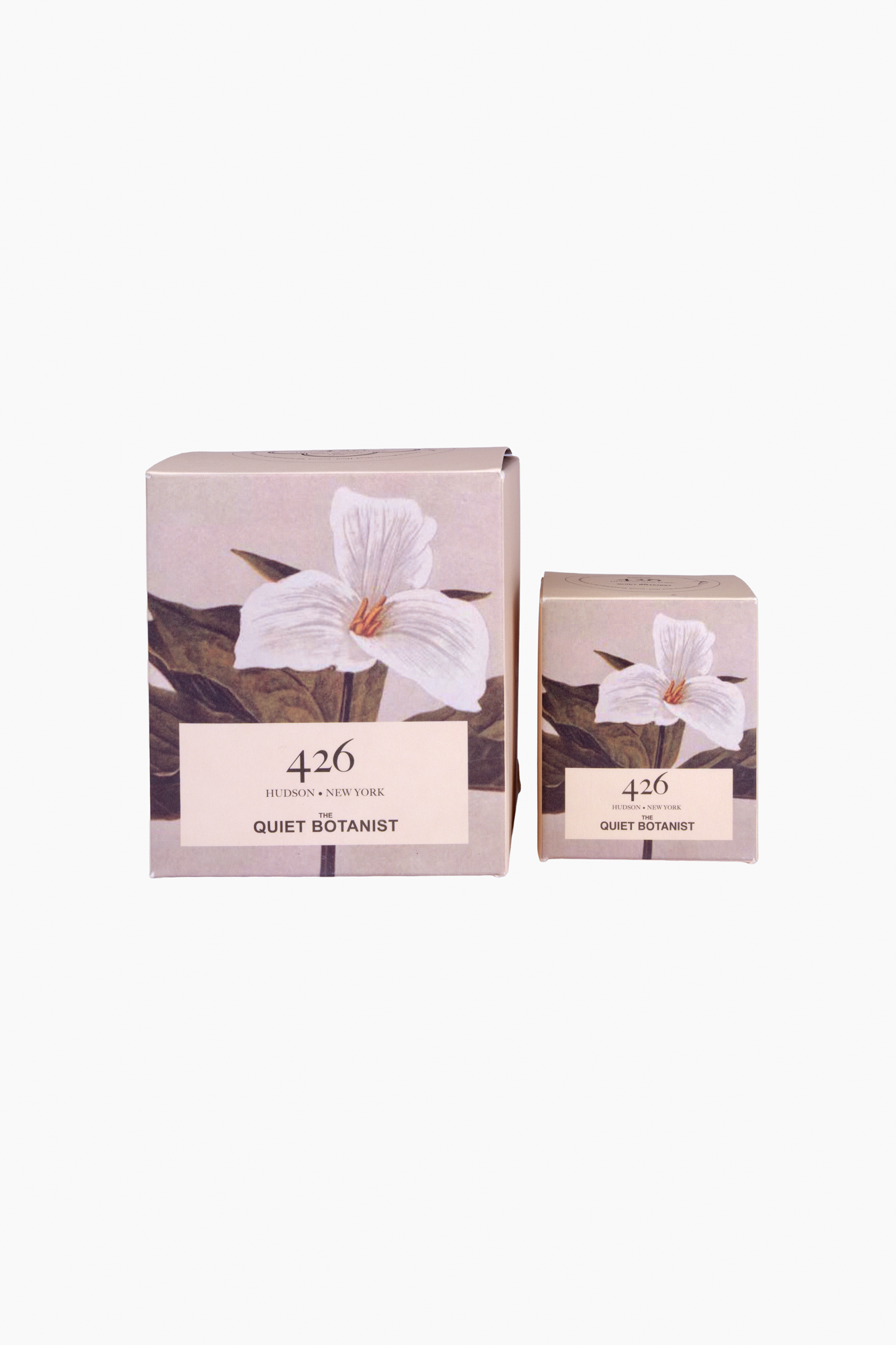 The Quiet Botanist Candle - Thumbnail 4
