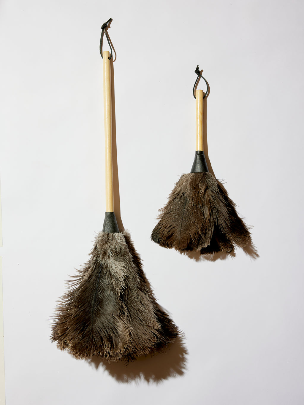 Feather Dusters