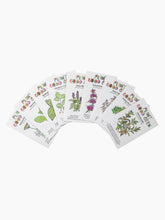 Load image into Gallery viewer, Assorted Herb Seeds
