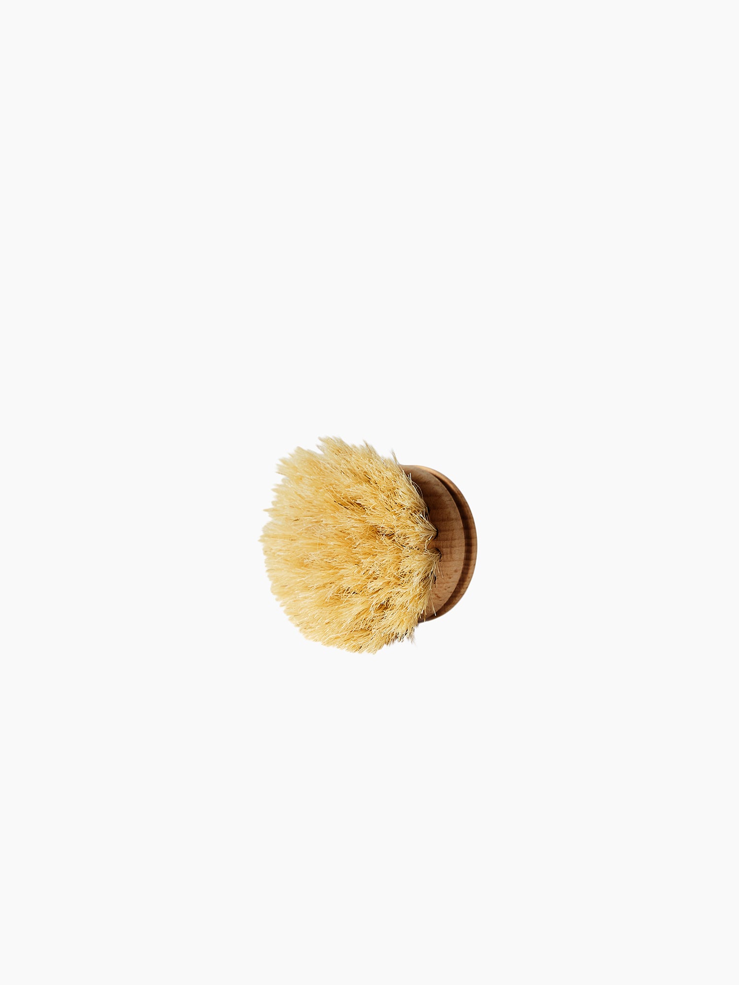 Everyday Dishbrush Refill