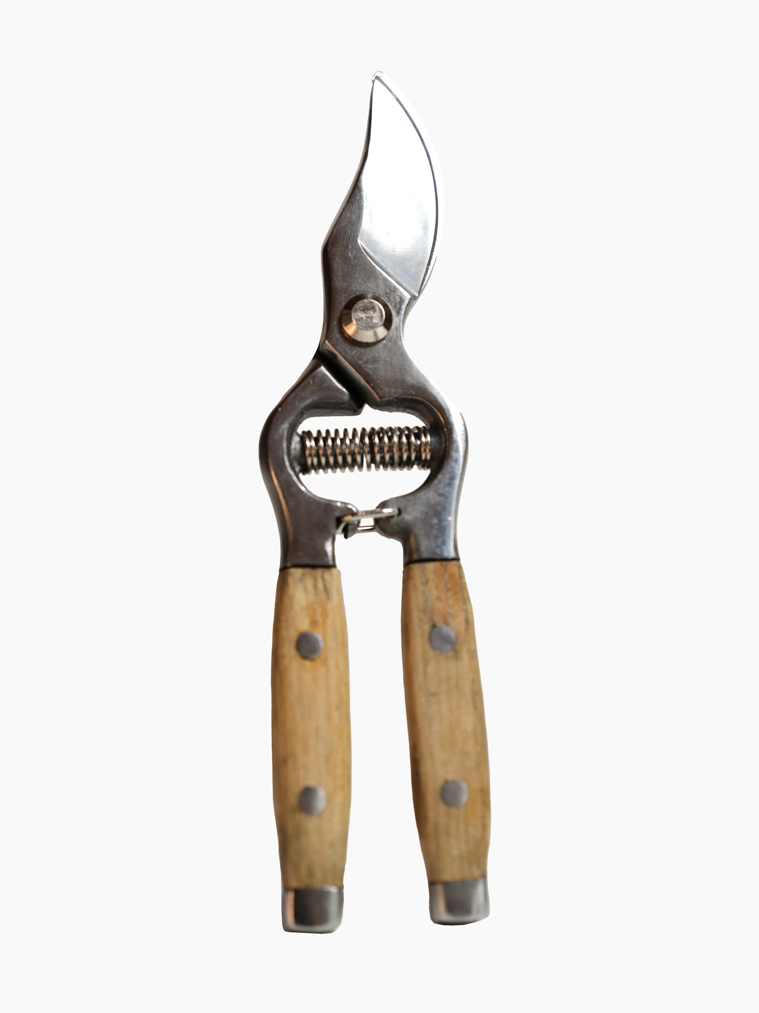Pruning Shears