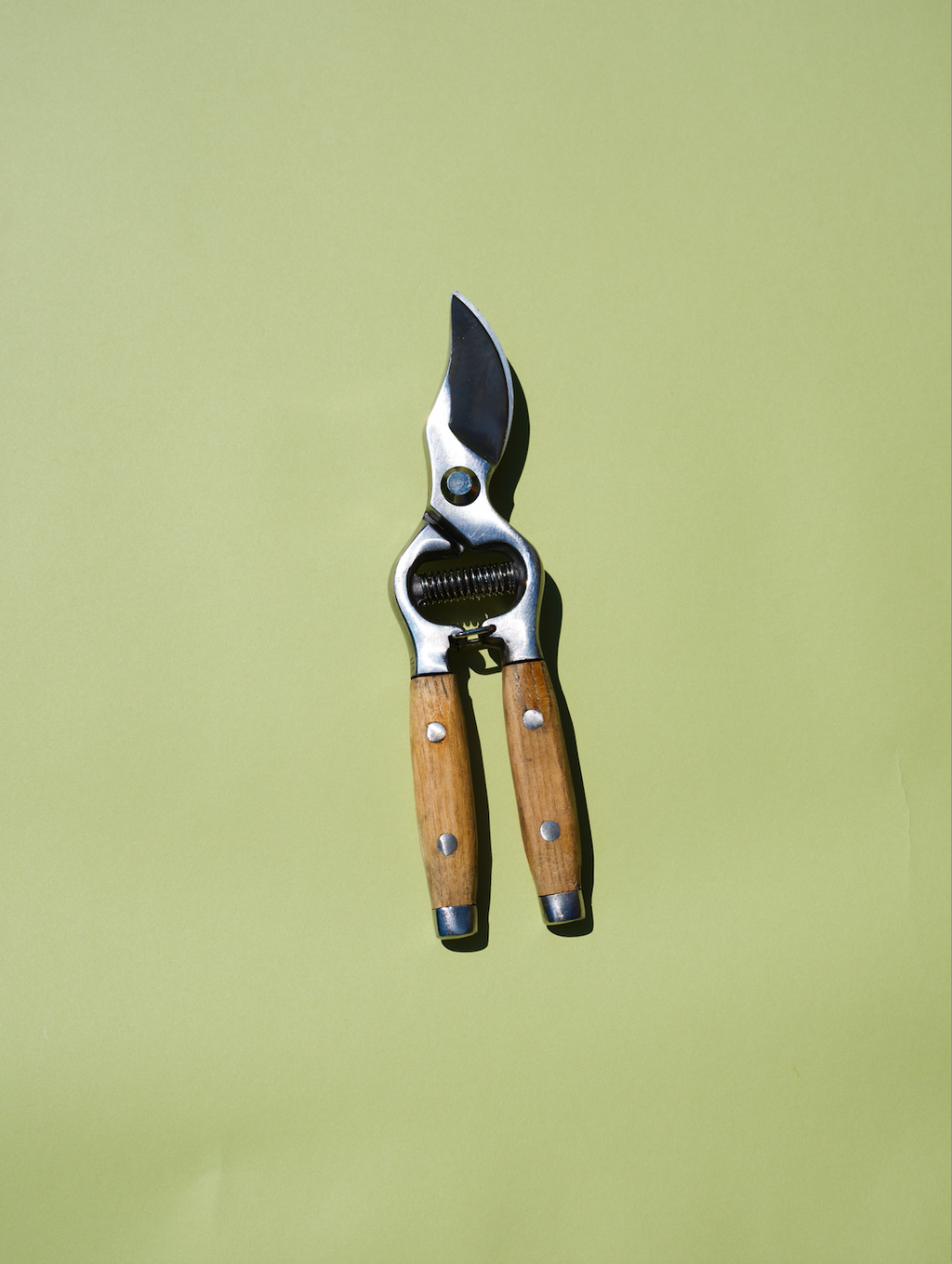 Pruning Shears