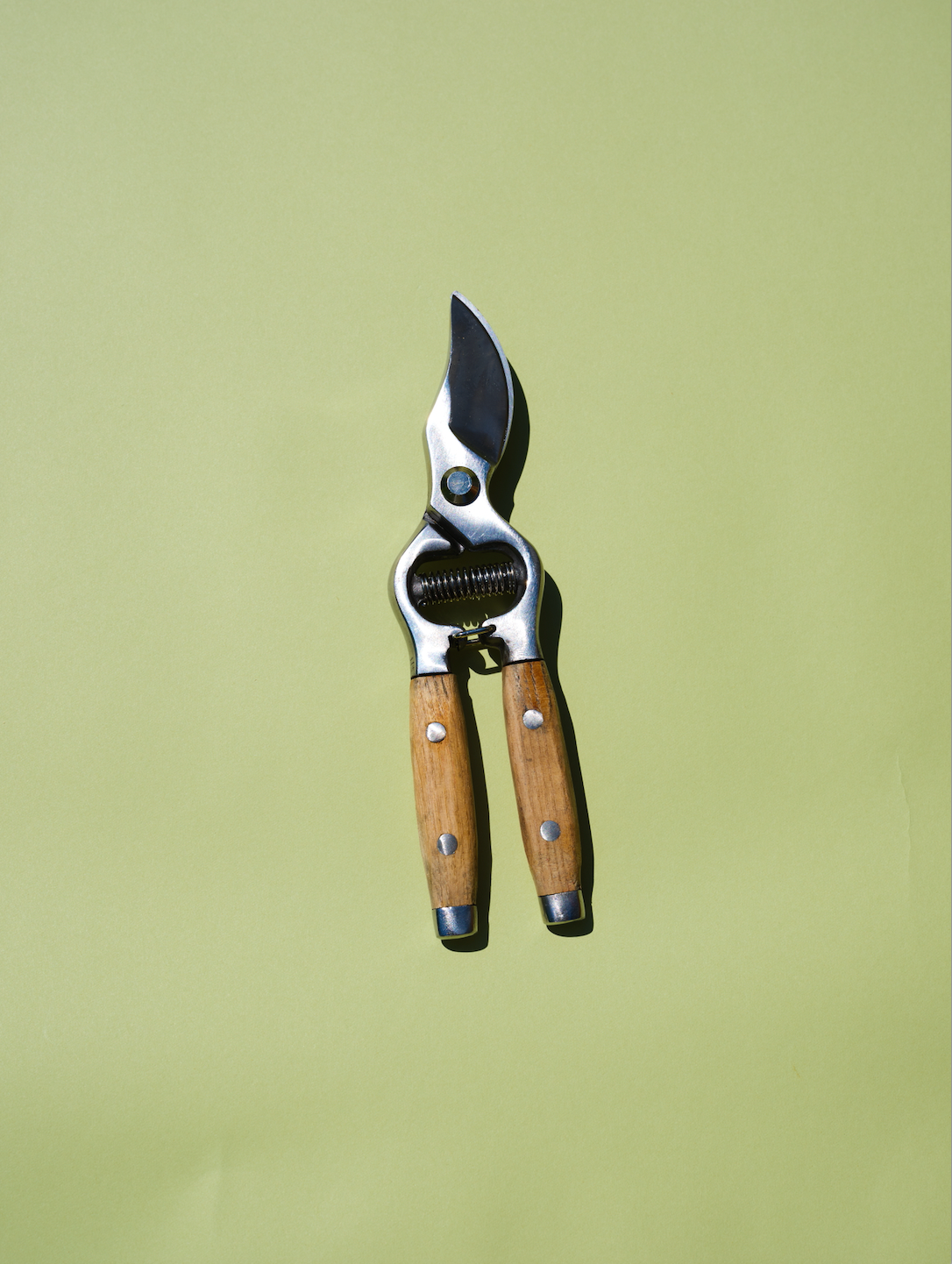 Pruning Shears