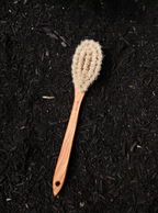 Bath Brush With Handle