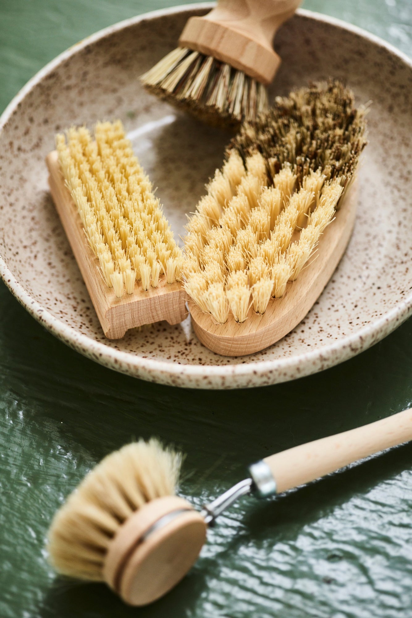 Everyday Dish Brush with Hook
